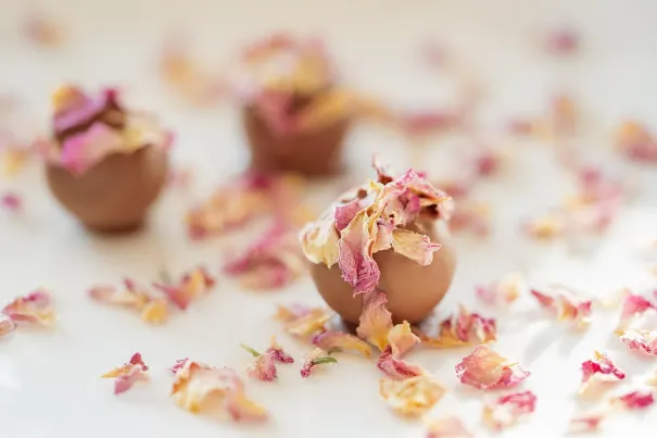 Casino Bella Vegas Android/iOS-app